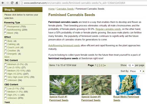 Strain selector page on Seedman website