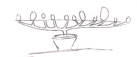 Hand Drawn diagram of Scrog - by LBH