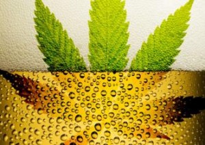 Beer Weed