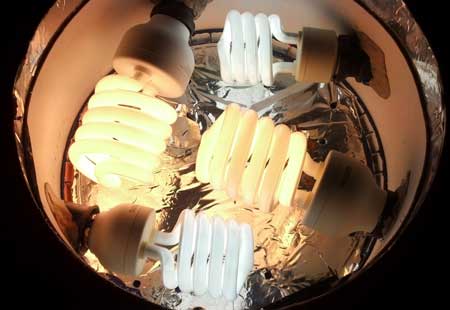CFL bulbs in a space bucket top - click for closeup!