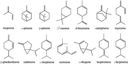 Examples of terpenes - this diagram shows their chemical structure